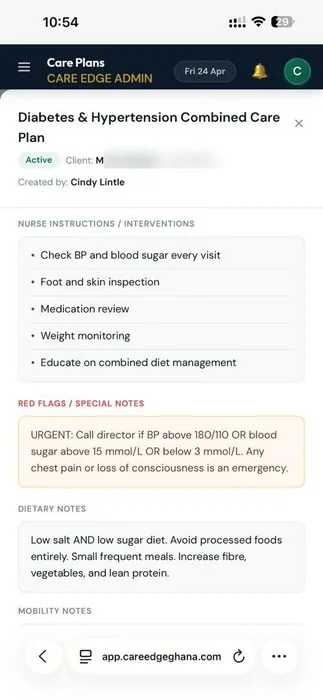 CareEdge clinical care plan — NMC-Ghana aligned documentation with medications and treatment goals